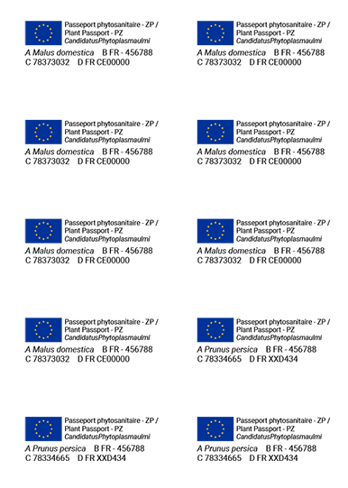Make plant passports easy on Print Plant Pass